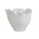 Skjuler Petit Rose hvid (stor)