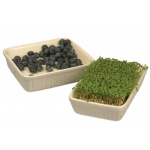 Fad firkantet Mynte (creme)