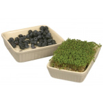 Fad aflang Mynte (creme)