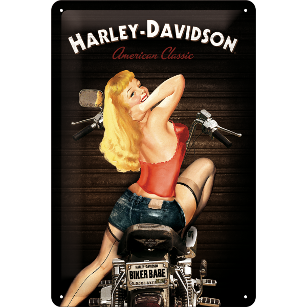 Metalskilt “Biker Babe” 20×30 cm. Metalskilt "Biker Babe" 20x30 cm. - Image 1