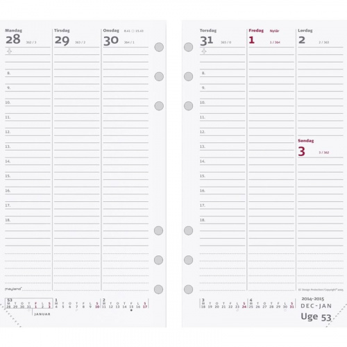 Refill til personlig planner 2025, 9,5×17 cm.