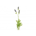 Lavendel (63 cm.)