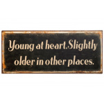 Metalskilt "Young at heart.." (83)