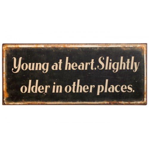 Metalskilt “Young at heart..” (83)