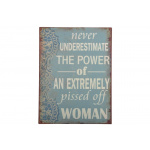 Metalskilt "Never underestimate.." (54)