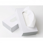 Servietter CleanLine 2-lags 21x20 cm. (100 stk.)