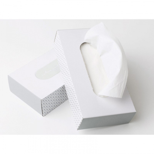 Servietter CleanLine 2-lags 21×20 cm. (100 stk.)