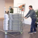 American stolevogn - Image 2