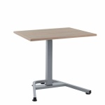 Trainee 60×90 cm, alu stel - Eg