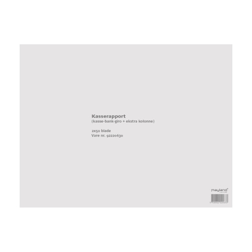 Kasserapport A4 med kasse bank giro kolonner
